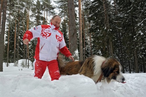 普京帶著寵物犬在雪地里散步。