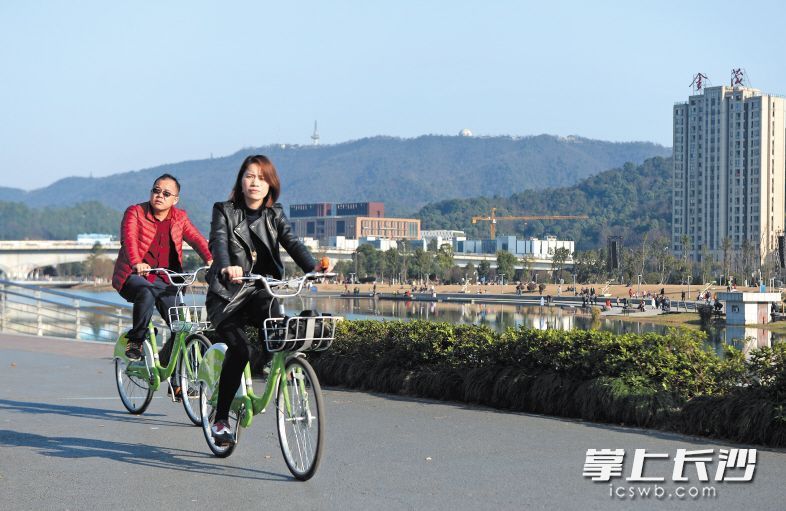 梅溪湖畔，市民們騎著共享單車賞景。長沙晚報記者 鄒麟 攝