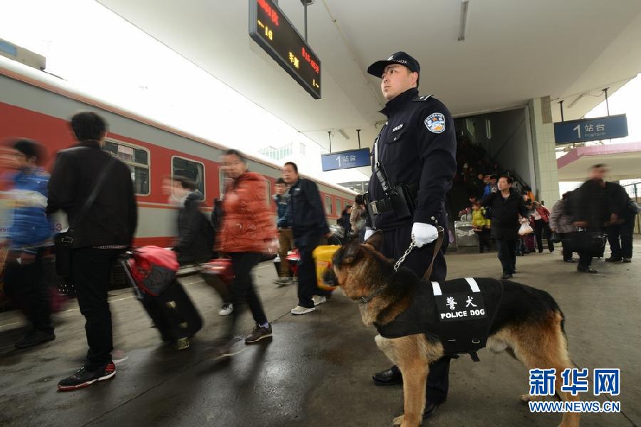 #（關注春運）（1）警犬上崗保春運