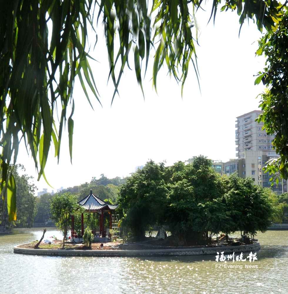 西湖“湖心春雨”元旦重現(xiàn)　湖心島成白鷺棲息地